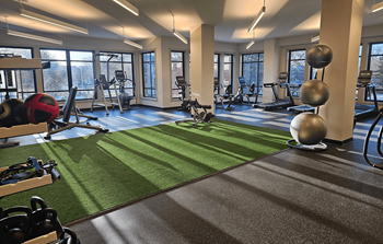 A gym with a green artificial turf floor and various exercise equipment